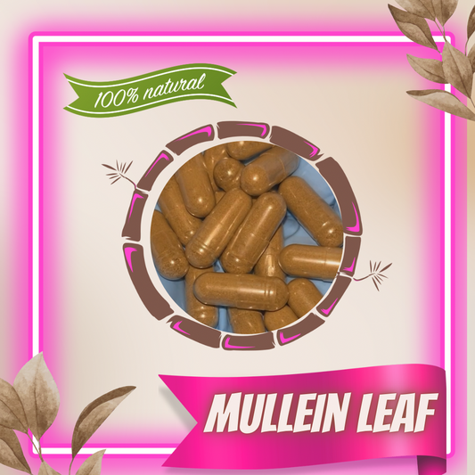 Mullein Leaf (Vegetarian Capsules)